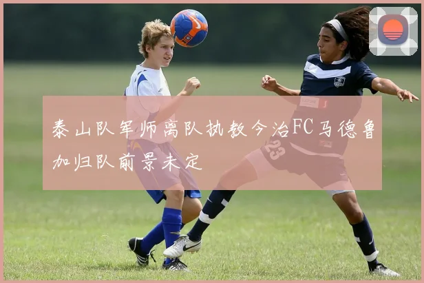 泰山队军师离队执教今治FC马德鲁加归队前景未定