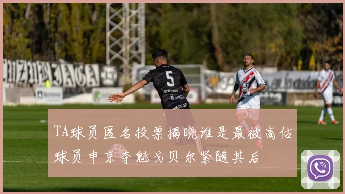 TA球员匿名投票揭晓谁是最被高估球员申京夺魁戈贝尔紧随其后